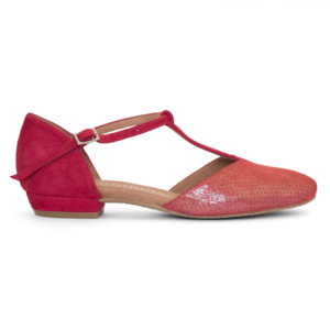 Tanzschuhe mit flachem Absatz